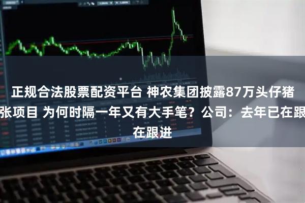 正规合法股票配资平台 神农集团披露87万头仔猪扩张项目 为何时隔一年又有大手笔？公司：去年已在跟进