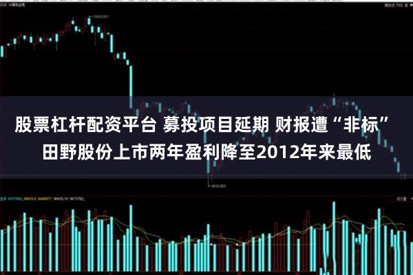 股票杠杆配资平台 募投项目延期 财报遭“非标” 田野股份上市两年盈利降至2012年来最低