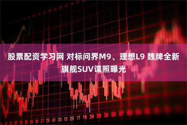 股票配资学习网 对标问界M9、理想L9 魏牌全新旗舰SUV谍照曝光