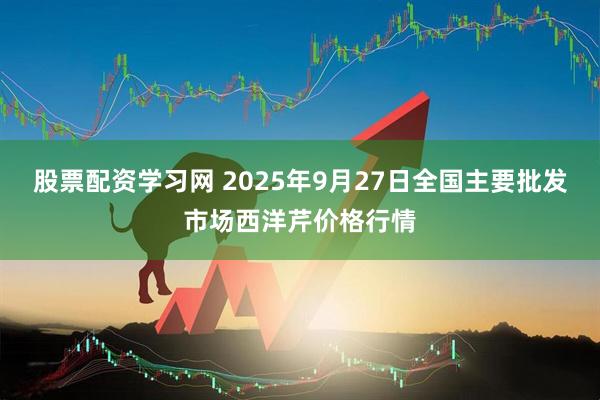 股票配资学习网 2025年9月27日全国主要批发市场西洋芹价格行情